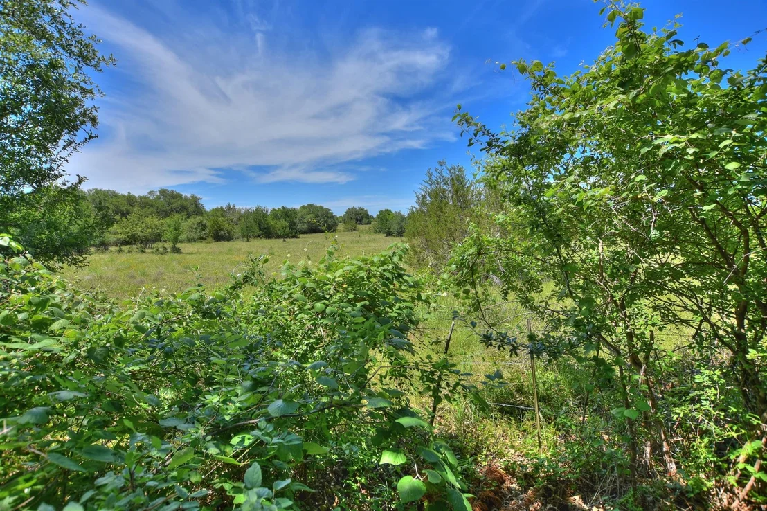 Photo of 221 Bonham LOOP