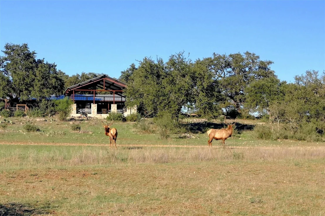 Photo of Lot 108 and 109 Oryx CV