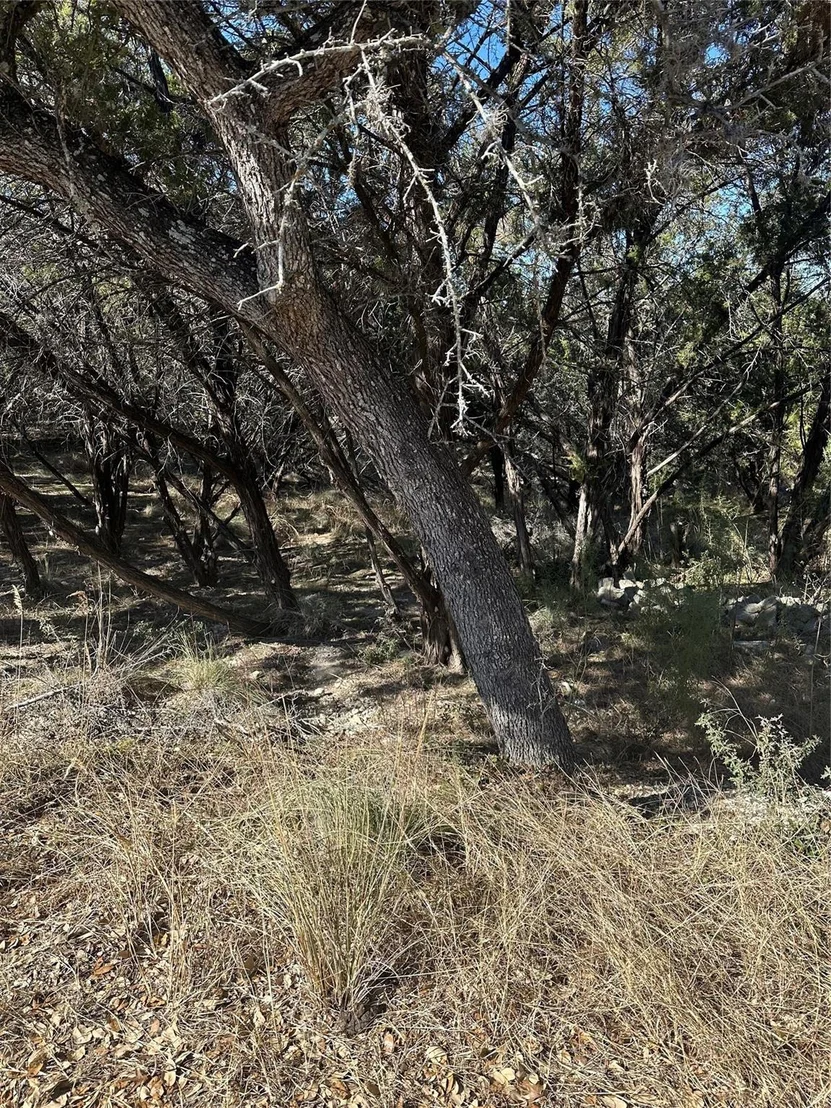 Photo of 20700 Branding Iron