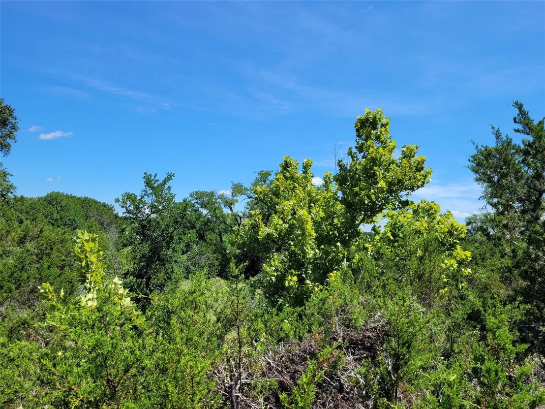 Photo of TBD CR 1139 575 Acres