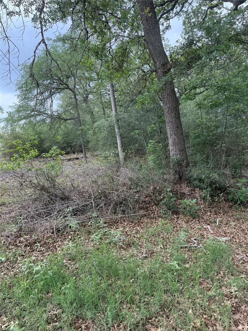 Photo of lot 70 Kaelepulu DR