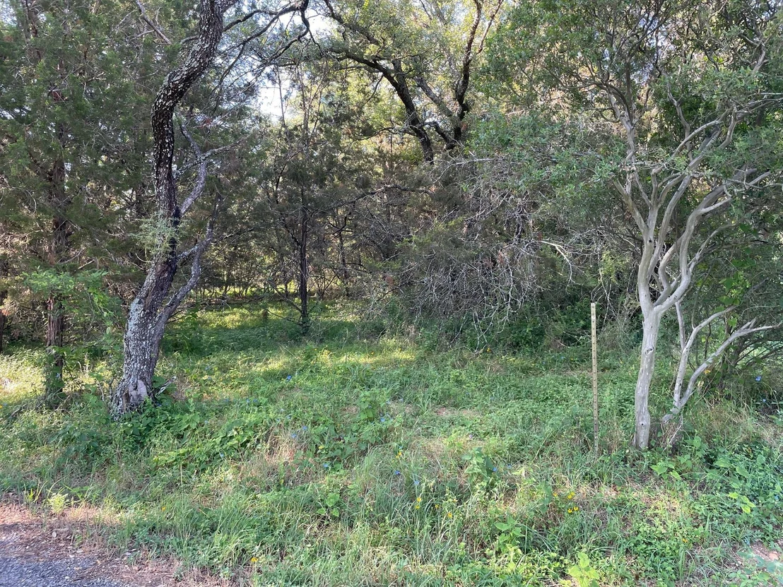 Photo of Lot 423 Indian Summer