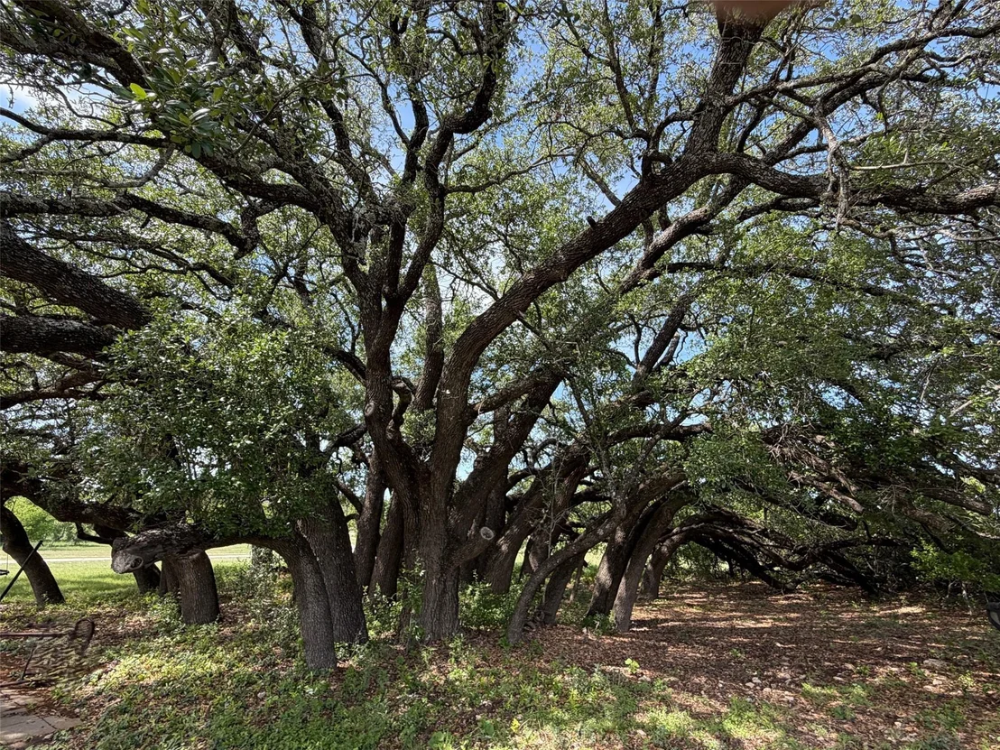 Photo of 397 Private Road 3072