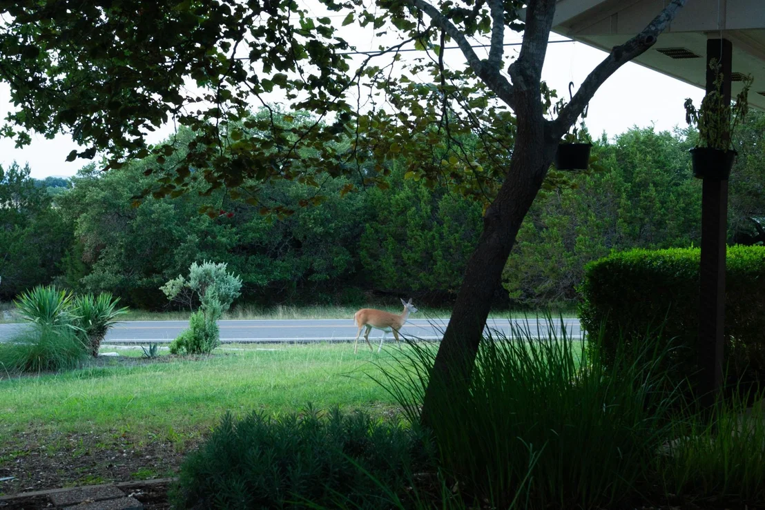 Photo of 3807 Cedar GLN
