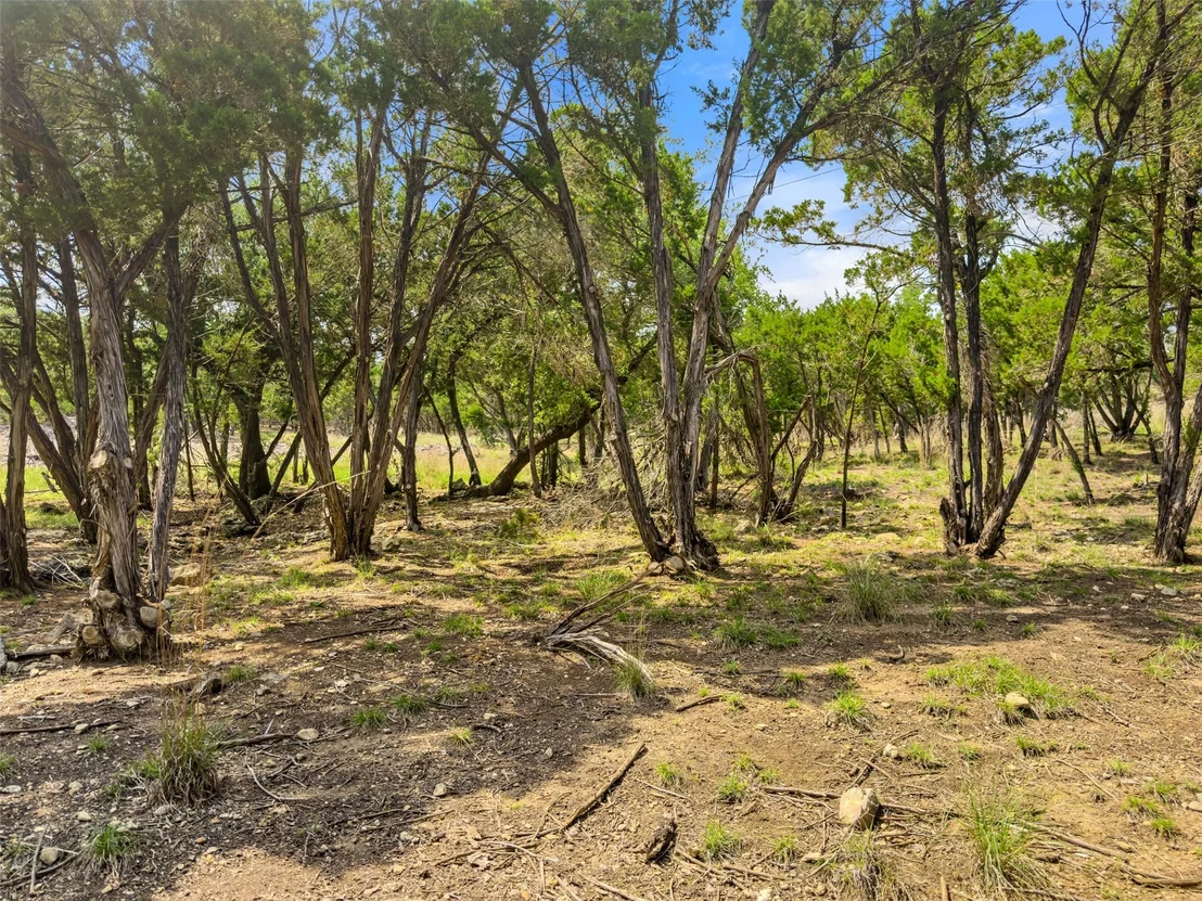 Photo of 369 Onion Creek LN