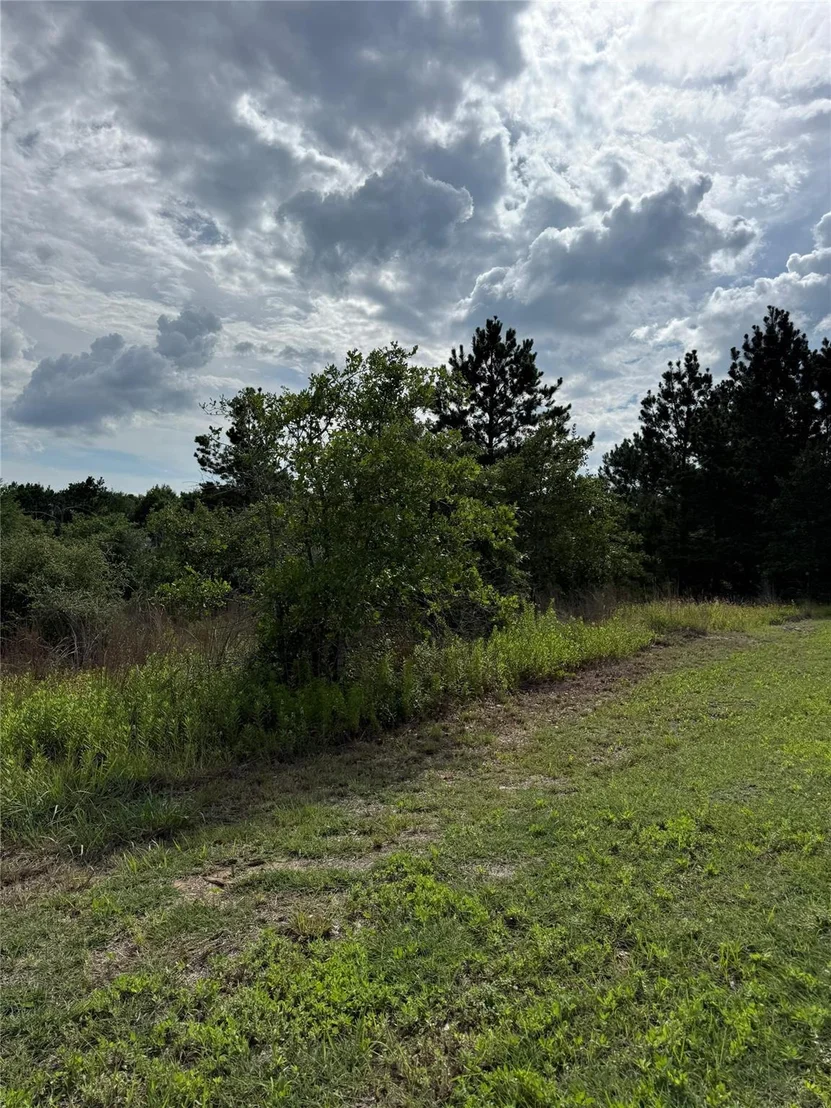 Photo of Lots 89-90 Pintail LN