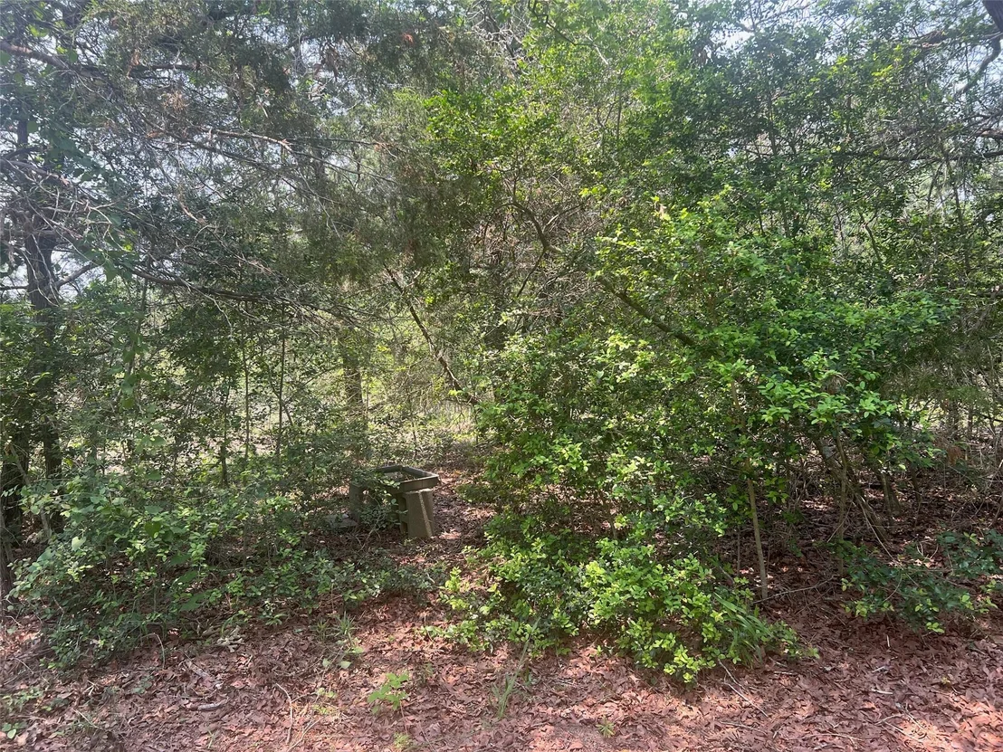Photo of 330 Powell RD