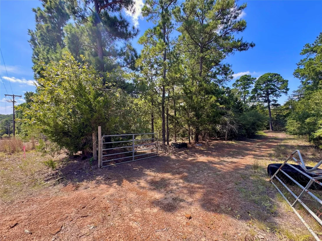 Photo of 445 Pine Valley LOOP
