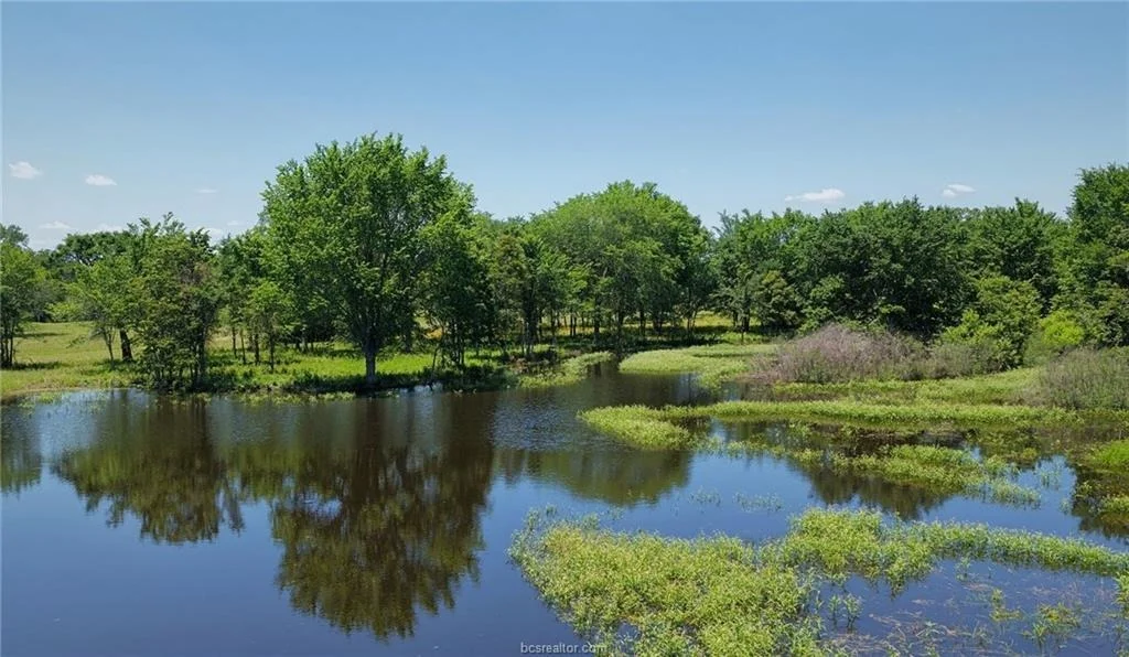 Photo of 5380 County Road 132 (+/-81 acres)