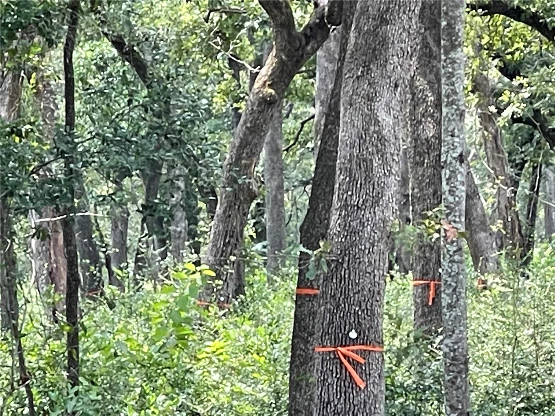 Photo of 1300 Cypress Trail LOOP