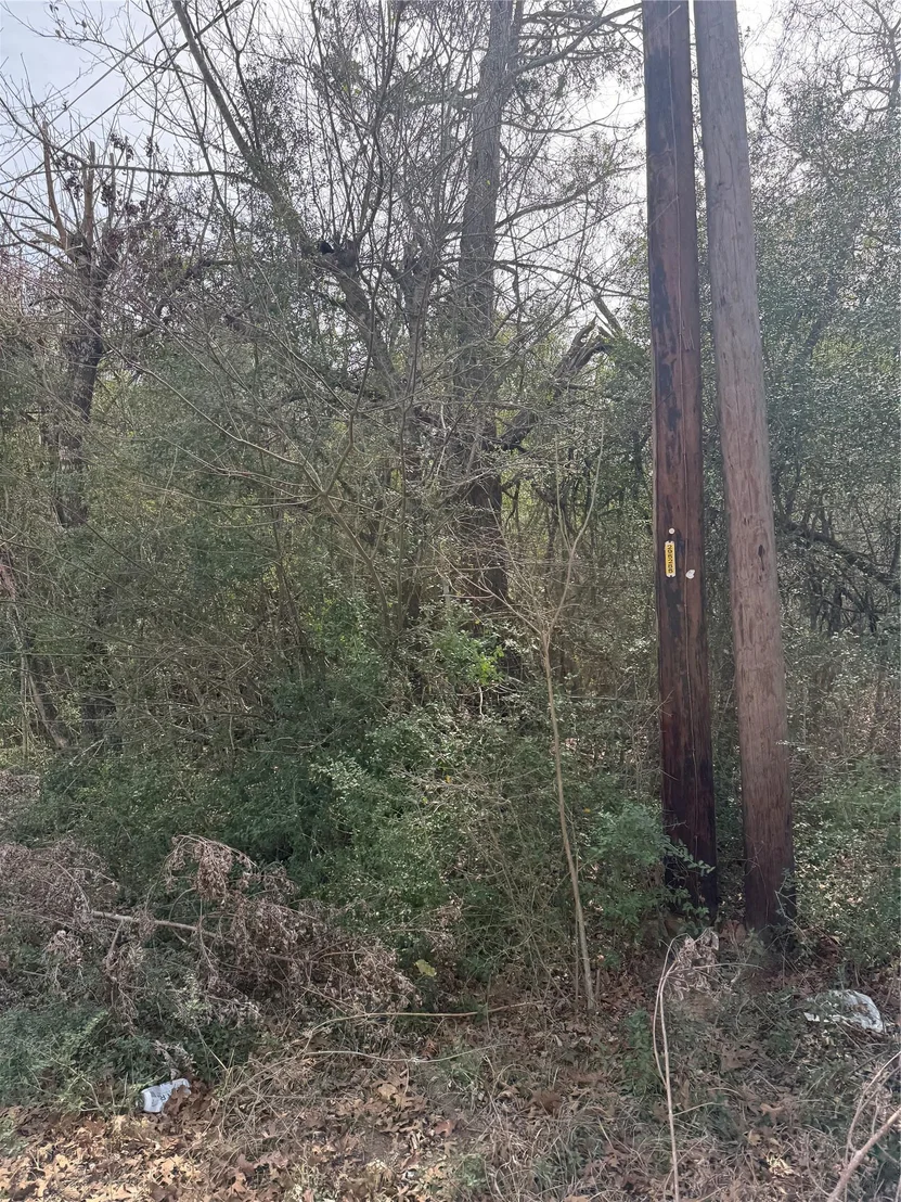 Photo of Lot 20 Flint Ridge ST