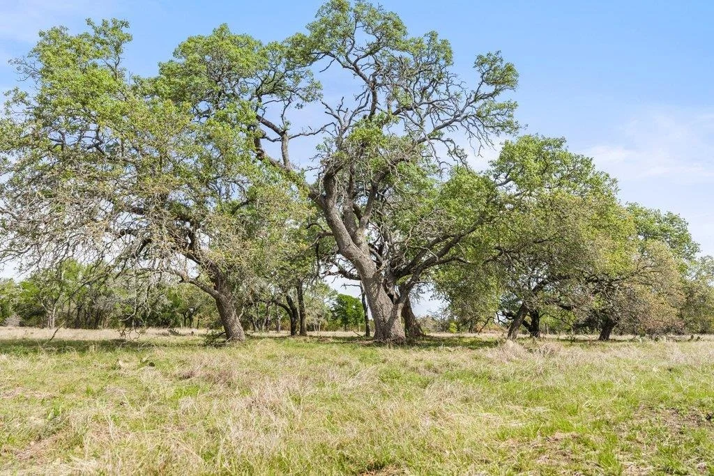Photo of 4772-10 County Road 340