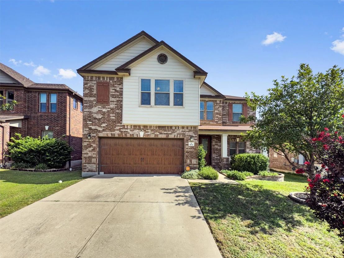 Photo of 804 Water Hyacinth LOOP