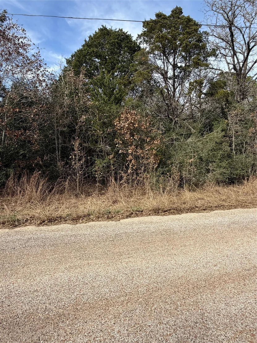 Photo of Lot 21 Flint Ridge ST