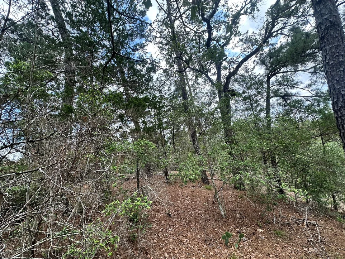 Photo of 217 Helemano DR
