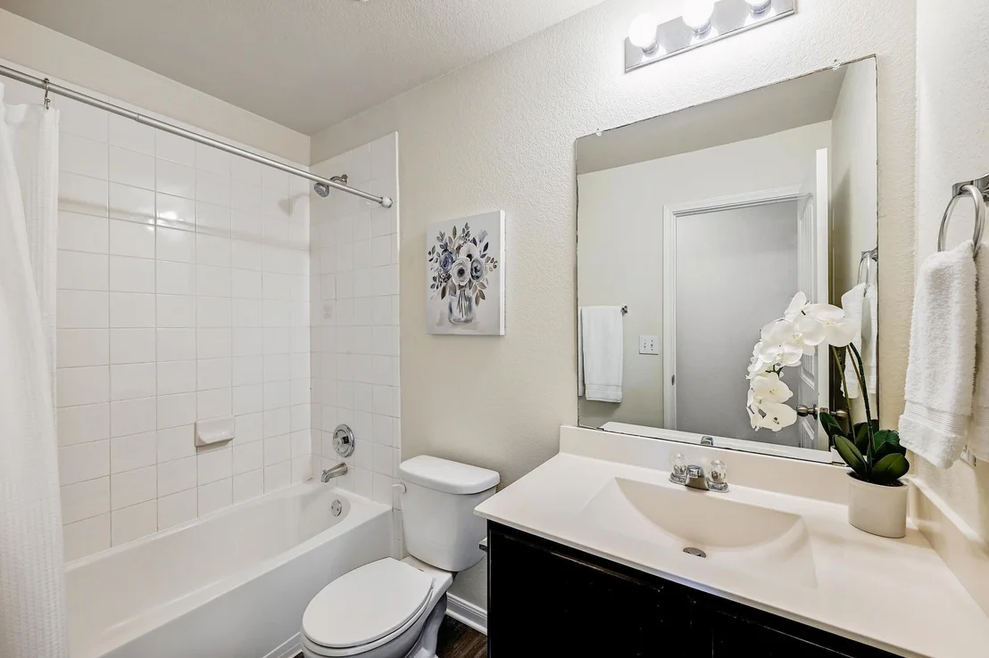Photo of 245 Voss
