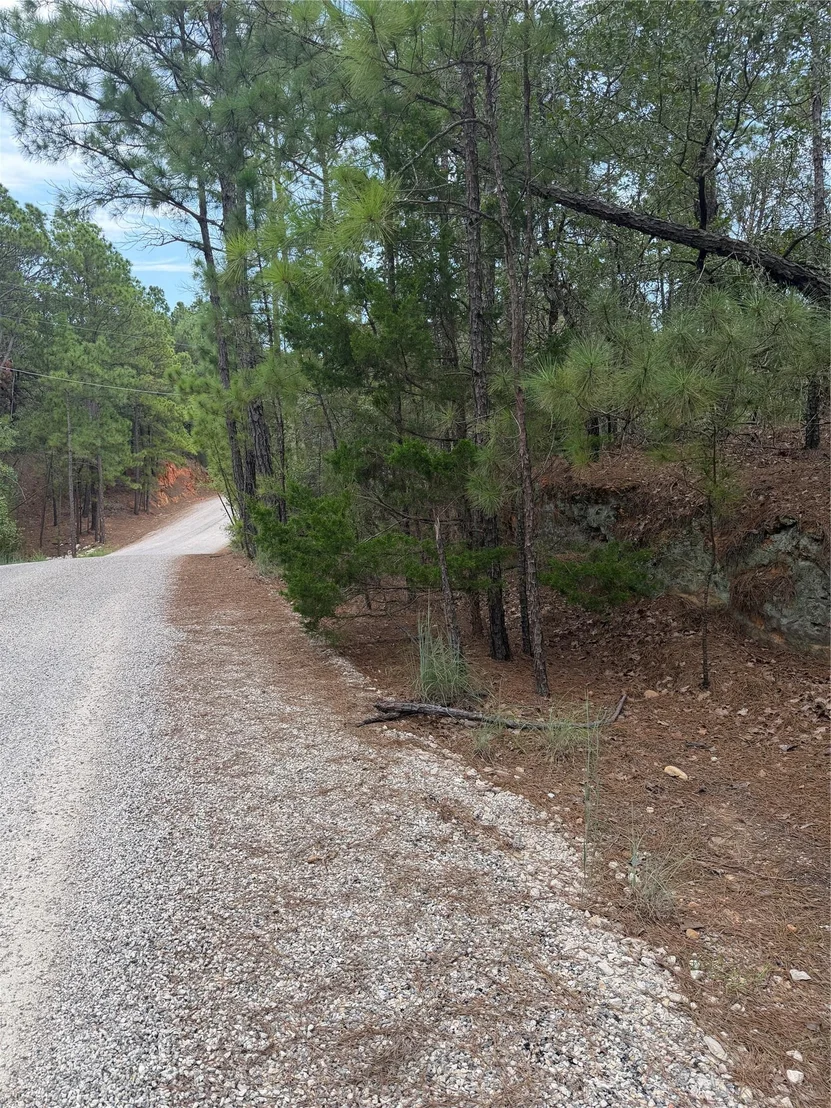 Photo of Lot 214 Hekili DR