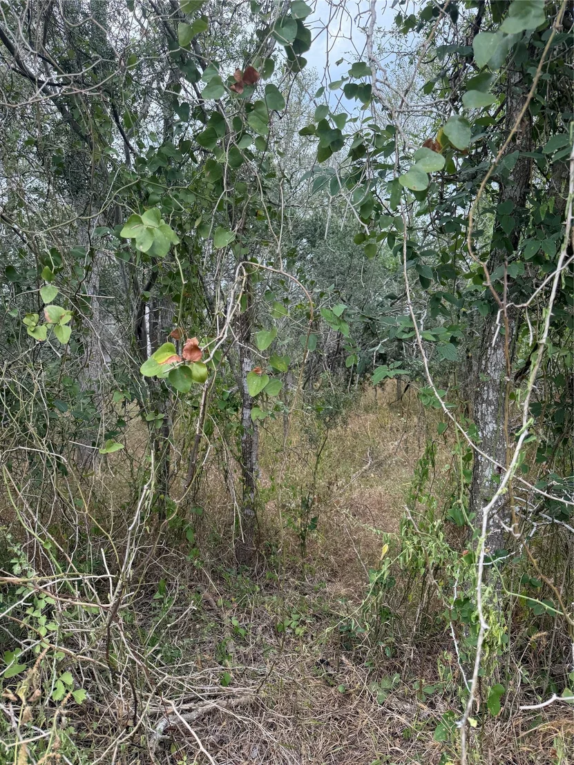 Photo of Lots 451, 452, 453 Heleakala DR