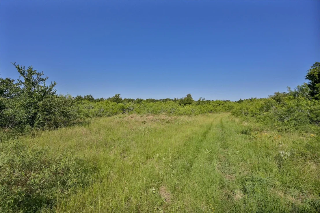 Photo of 681 County Road 474
