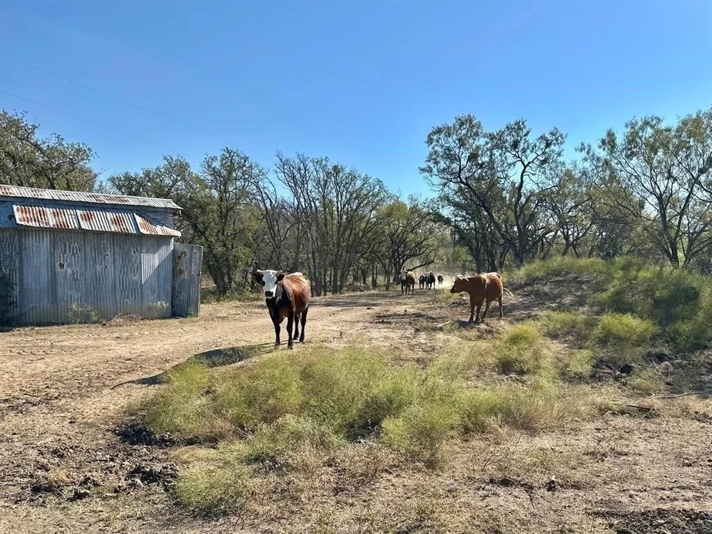 Photo of TRACT 19 & 20 County Road 120