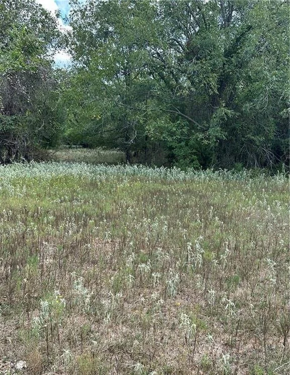 Photo of 853 County Road 206
