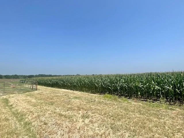 Photo of 1117 County Road 423