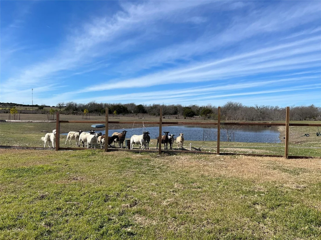 Photo of 1300 County Road 217