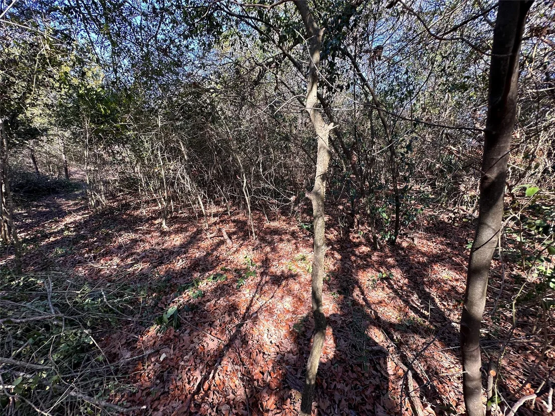 Photo of LOT 14 Alta Vista DR