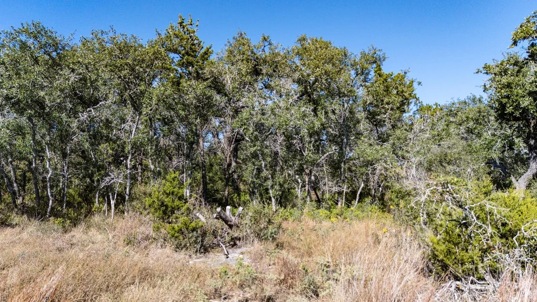 Photo of 600 Summit PASS