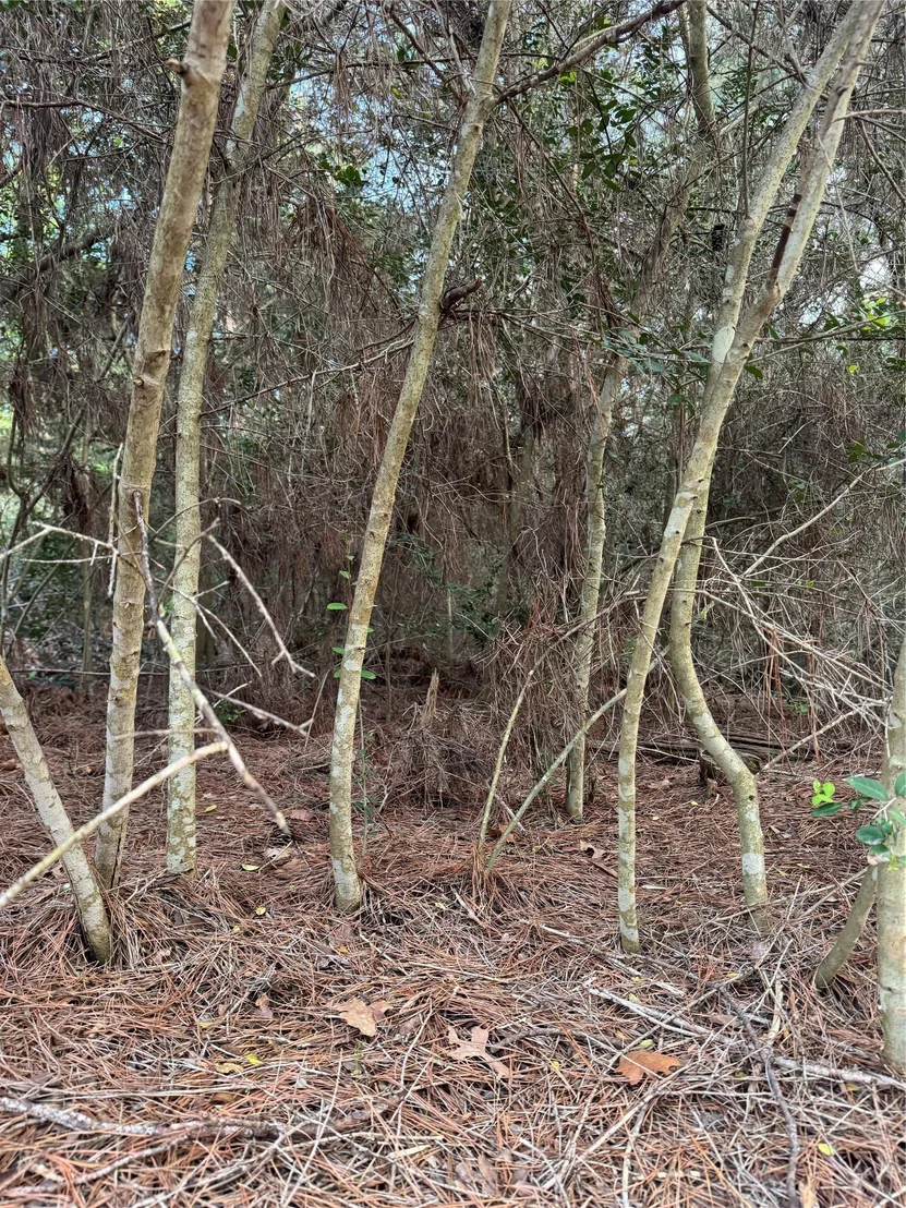 Photo of Lots 158 and 159 Hekili DR