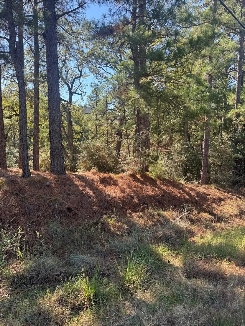 Photo of Lot 97 Kaelepulu DR