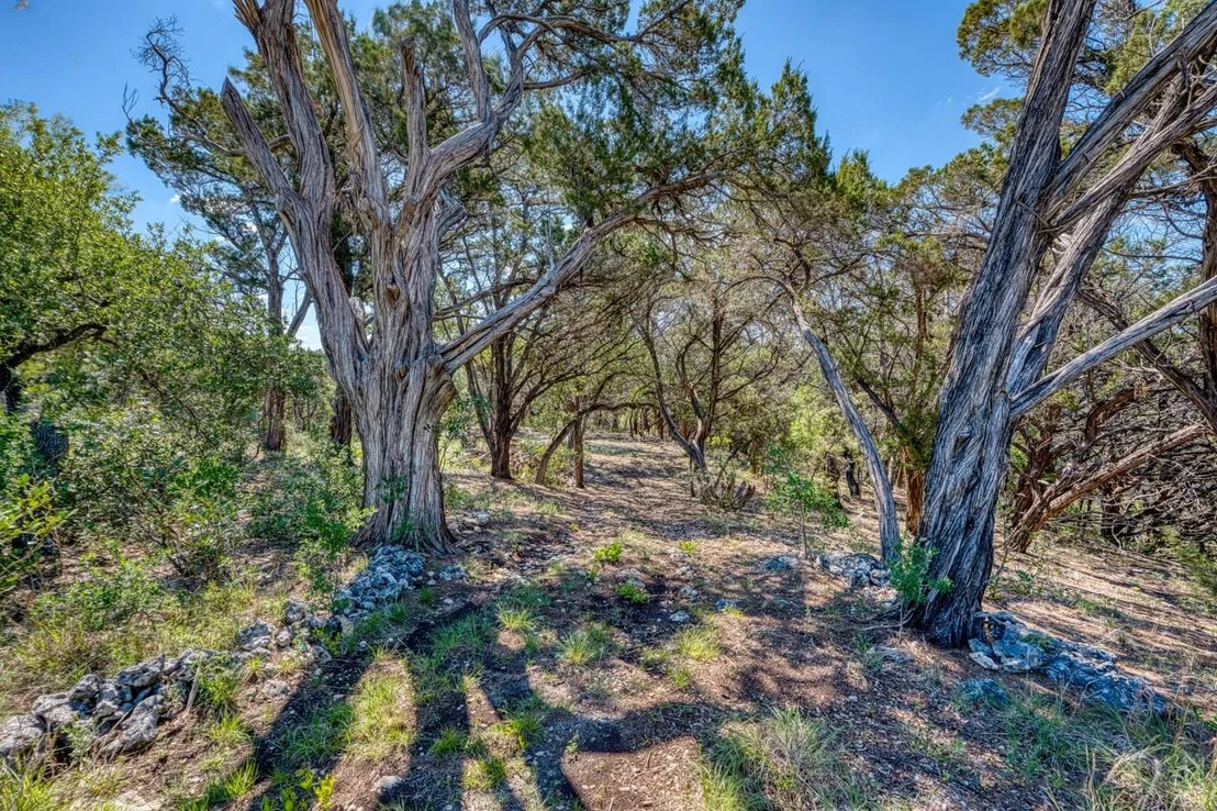 Photo of 11670 Mountain Top CIR