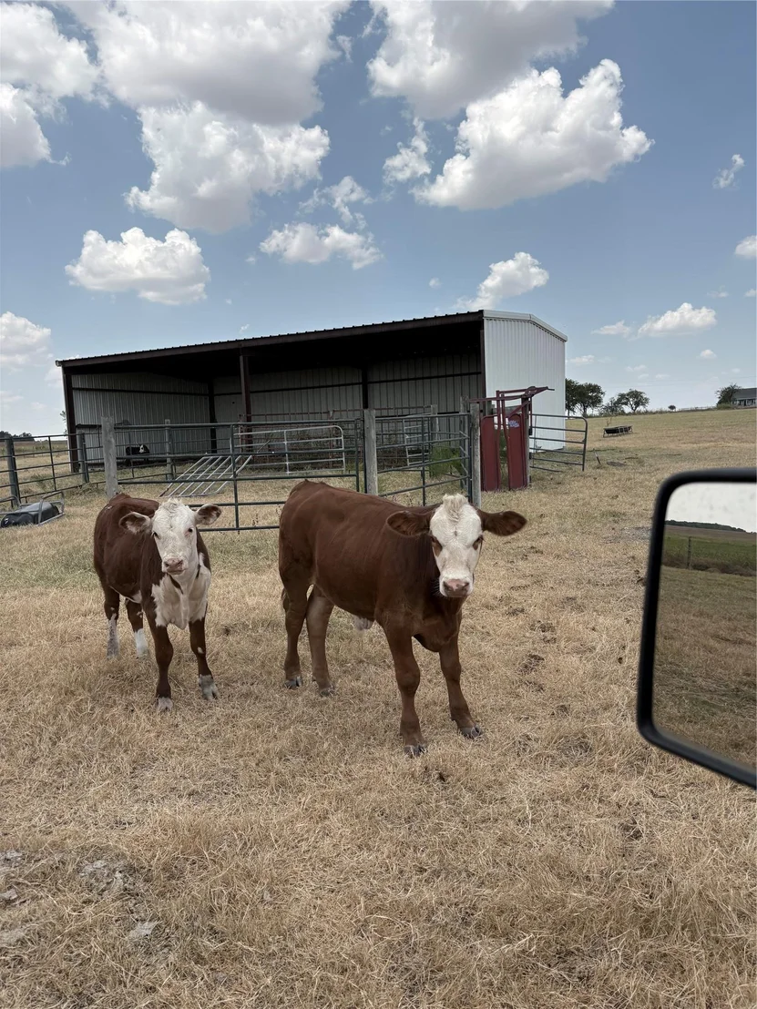 Photo of 600 County Road 444 LAND