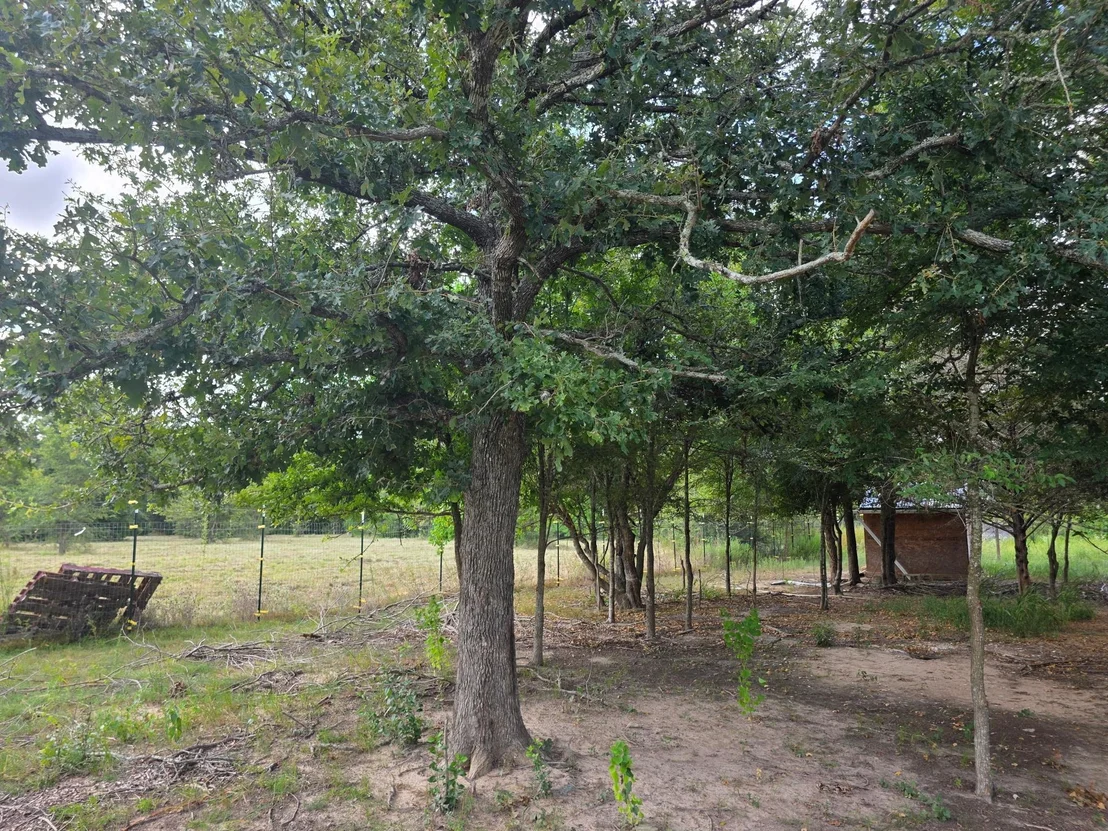 Photo of 11305 Cooper LN