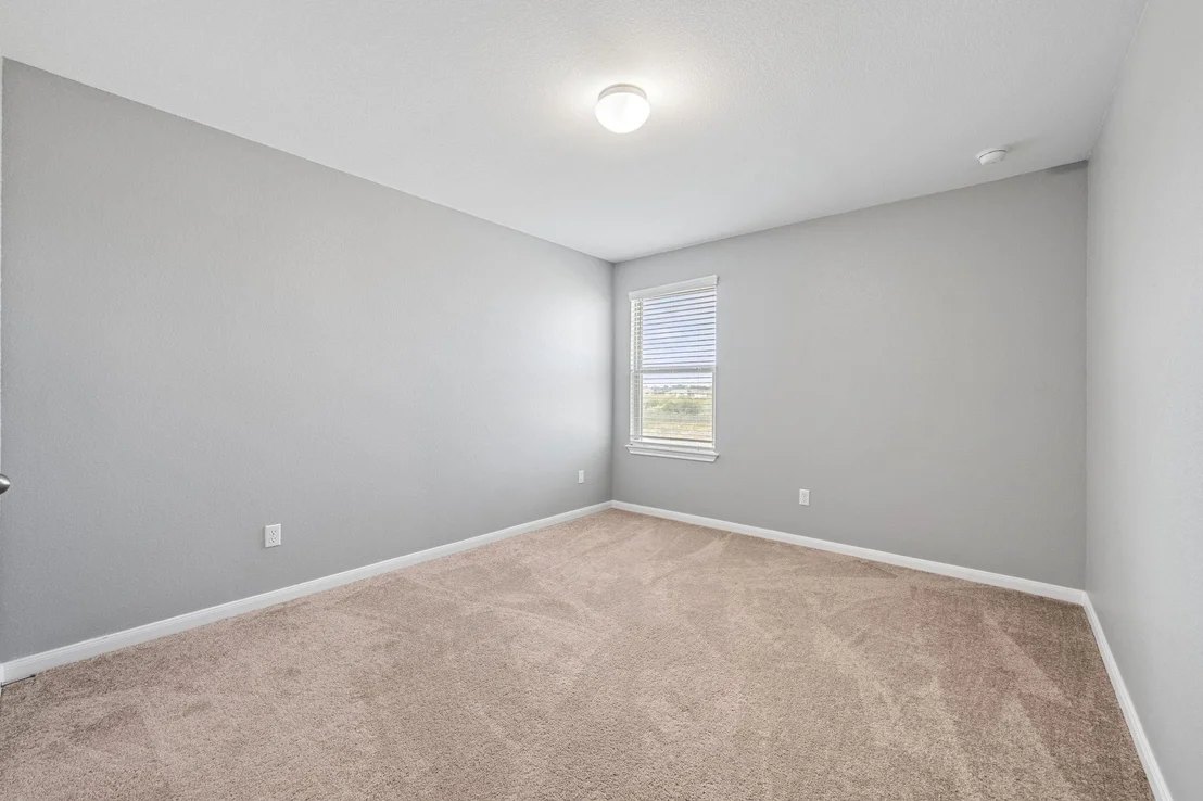 Photo of 436 Spinnaker LOOP