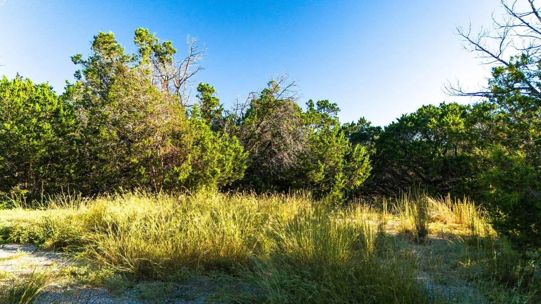 Photo of 901 Days End RD