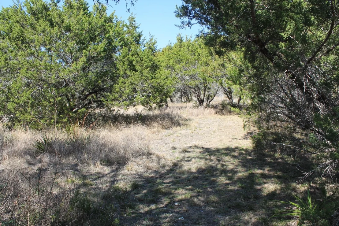 Photo of 24604 Long Hollow TRL