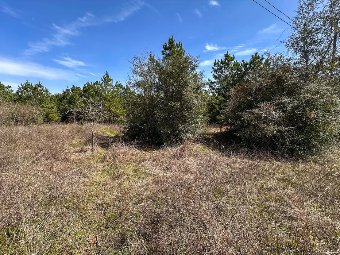 Photo of 161 Alele DR