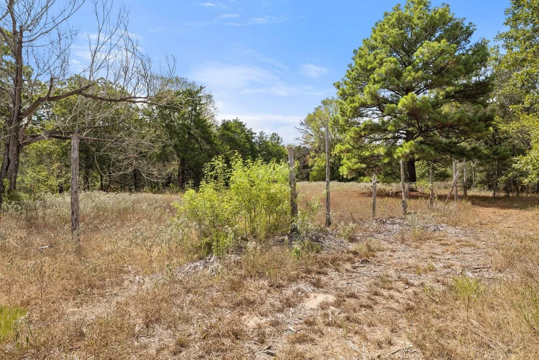 Photo of 242 Cody LN