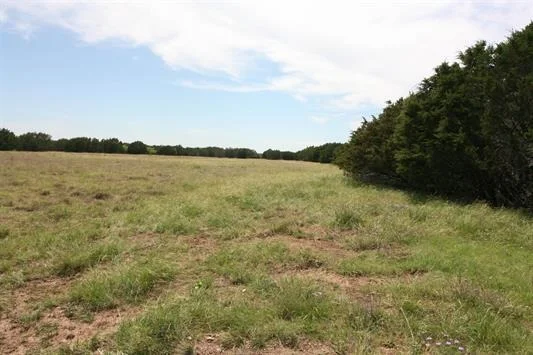 Photo of 1115 Tract 4 - County Road 204