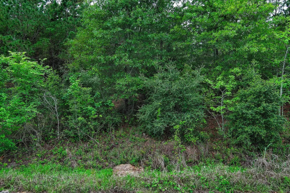 Photo of 453 Kelley RD