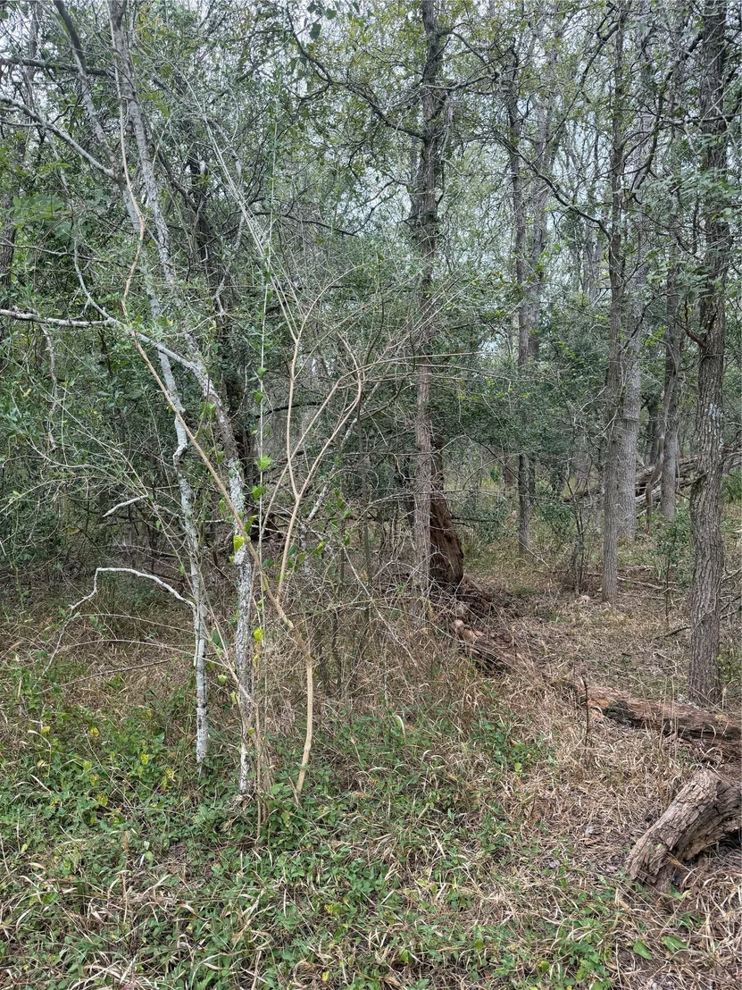 Photo of Lots 451, 452, 453 Heleakala DR