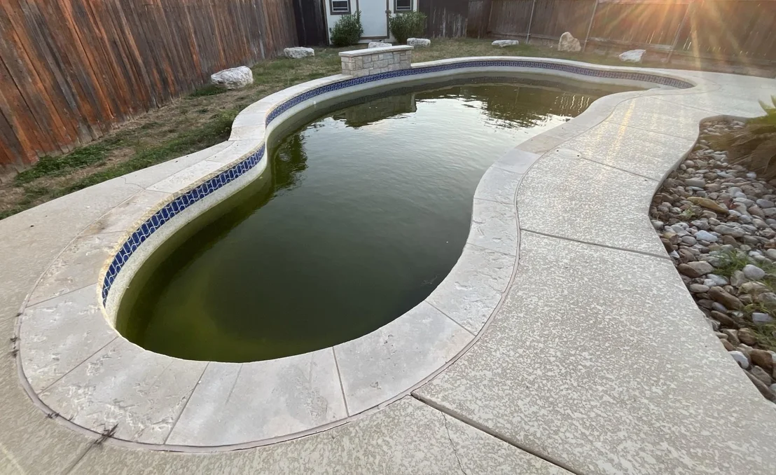 Photo of 913 Water Hyacinth LOOP