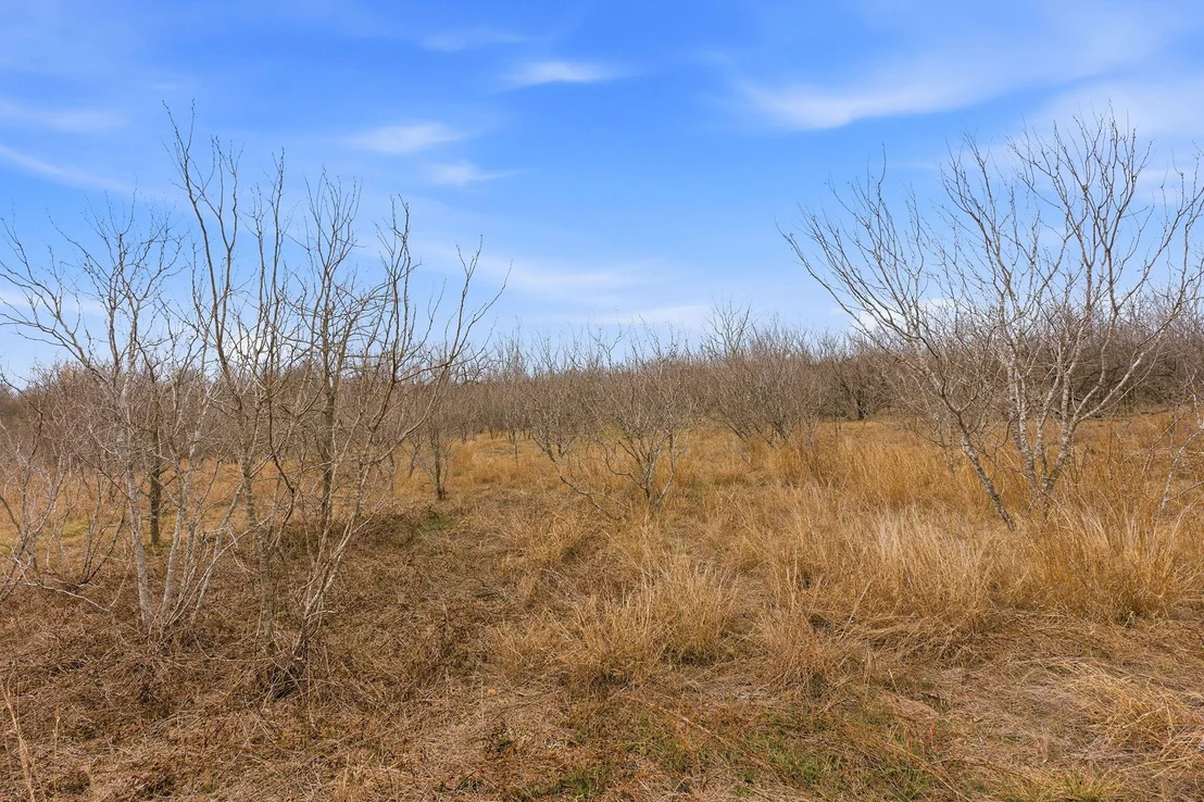 Photo of 13802 Hokanson RD