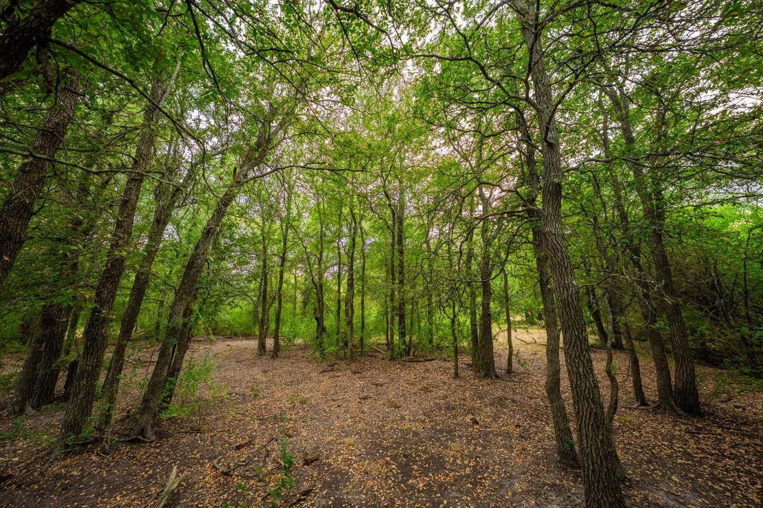 Photo of 777 County Road 206