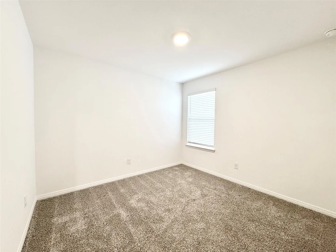 Photo of 598 Gladiola LOOP