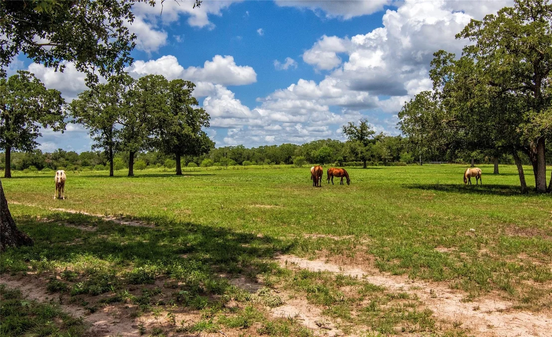 Photo of 6440 Mockingbird RD