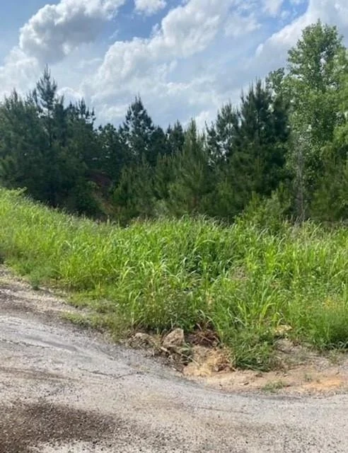 Photo of Lot 4 Kainalu LN