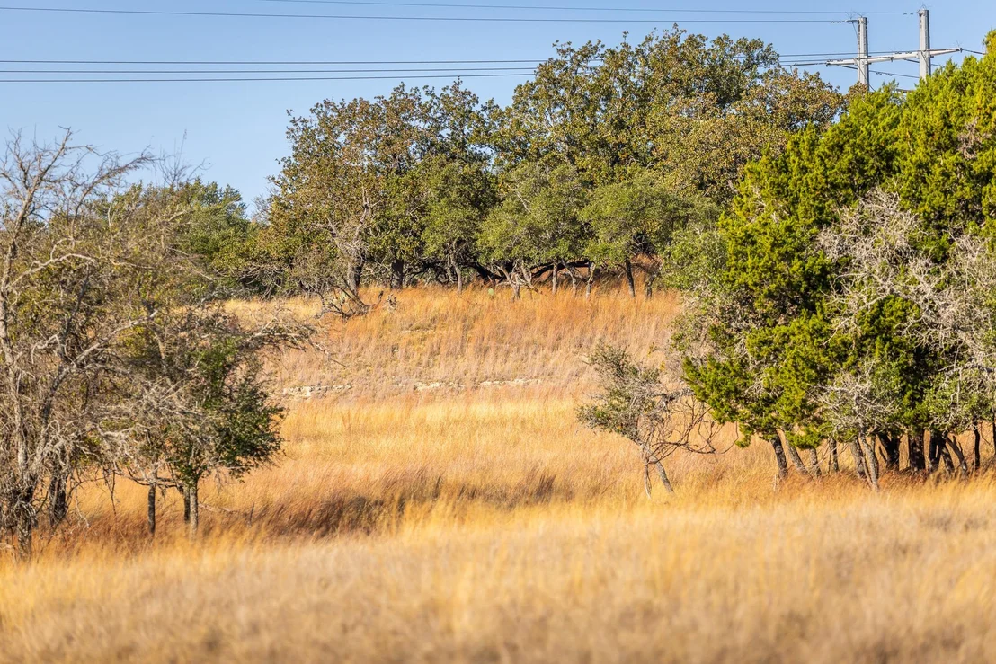 Photo of 1260 County Road 2001