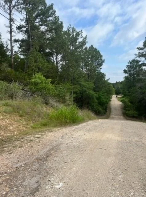Photo of Lot 345 Wainee DR